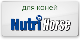  Nutri Horse